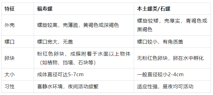 皇冠信用网登123出租_别吃!寄生虫多达6000条皇冠信用网登123出租,近期正大量出现,严重可致死