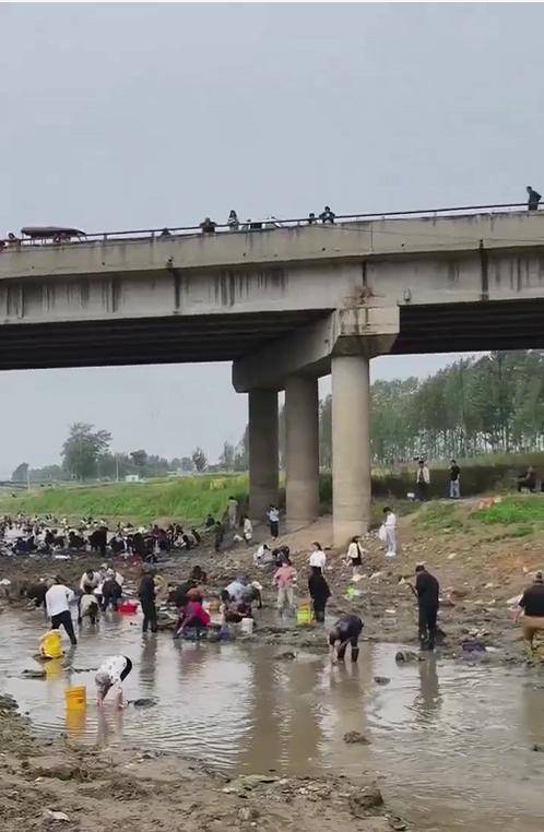 皇冠信用网代理流程
_河南浚县一处河道内众人捞金？当地辟谣：捞的是花甲皇冠信用网代理流程
，已劝离捕捞客