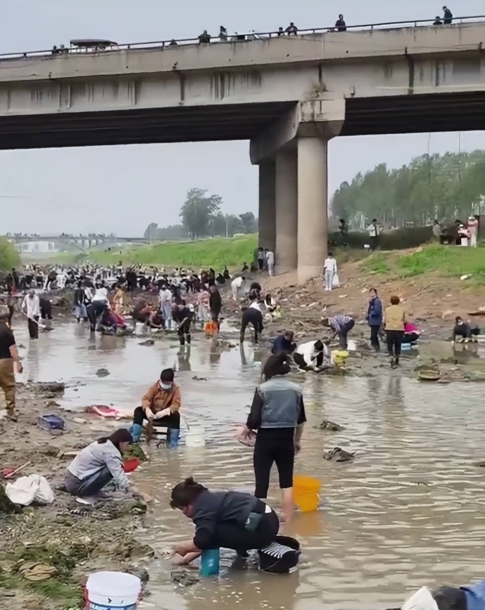 皇冠信用网代理流程
_河南浚县一处河道内众人捞金？当地辟谣：捞的是花甲皇冠信用网代理流程
，已劝离捕捞客