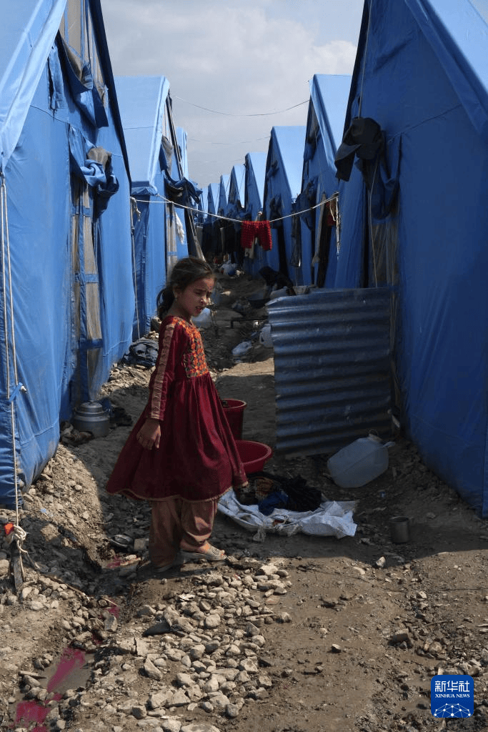 皇冠信用網会员开户_中国驻阿富汗大使馆赴阿地震灾区慰问