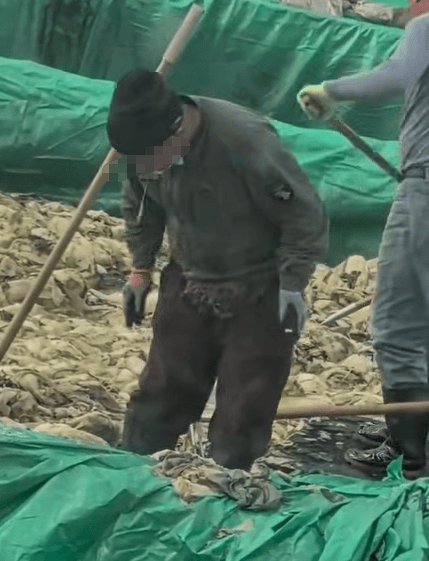 世界杯信用网会员
_辽宁葫芦岛一男子酸菜池中抽烟吐痰世界杯信用网会员
，曝光视频令人反胃！省市两级市监介入