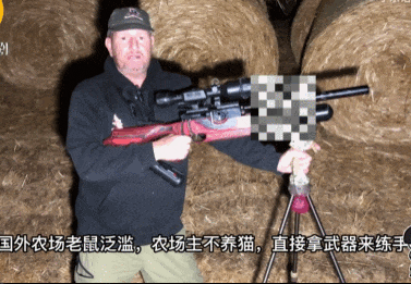 世界杯信用网正网_头部中弹！近日安徽18岁男孩深夜遭遇枪击世界杯信用网正网，枪是从哪来的？