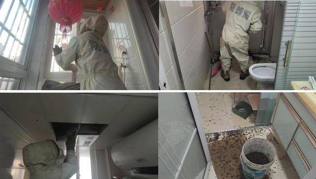 世界杯信用网
_惊世界杯信用网
！空置两个月的房子竟被蜜蜂当成了 “豪华别墅”