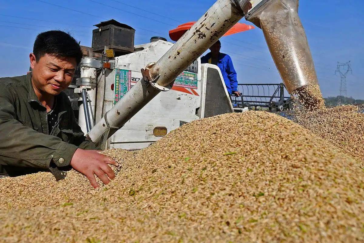 登1登2登3信用盘_200万吨大豆烂港！巴西主动降价登1登2登3信用盘，中国转头下单三船美国大豆，巴西自食其果了