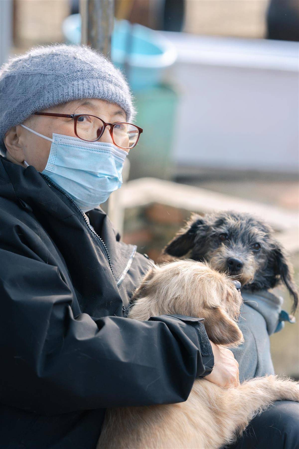 登3代理出租_合肥卖房救助流浪狗的魏阿姨离世登3代理出租，病中仍然惦记着基地的600只流浪狗，工人：不敢相信世上还有这样执着的人