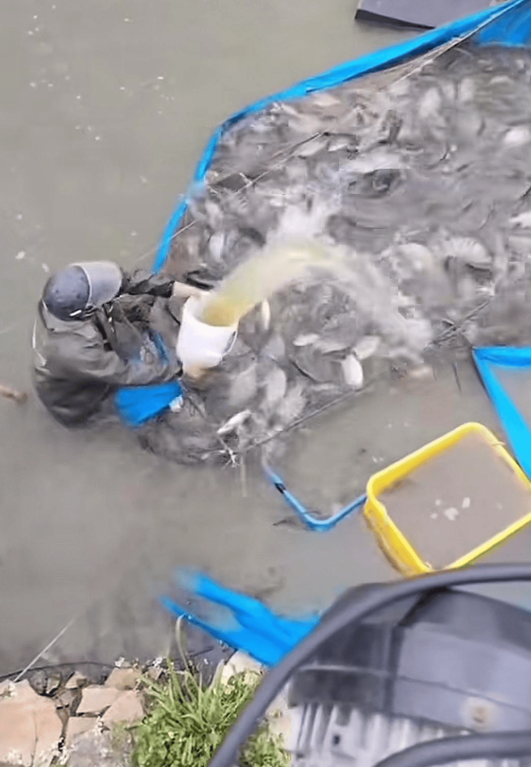 彩票信用盘出租
_水产市场“麻醉鱼”调查：有商家称麻药有味会换水再卖彩票信用盘出租
，有无危害尚不明，出台监管措施尚缺理论依据