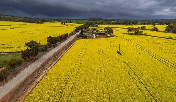 多伦多猛龙 vs 密尔沃基雄鹿
_澳大利亚给中国发货多伦多猛龙 vs 密尔沃基雄鹿
，加拿大农民急了