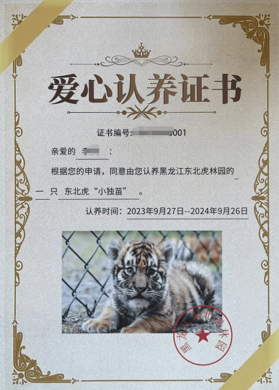 皇冠信用盘开户
_女子花2000余元认养东北虎2年却被隐瞒死讯 当事人称园方未主动反馈情况皇冠信用盘开户
，认为死因存疑