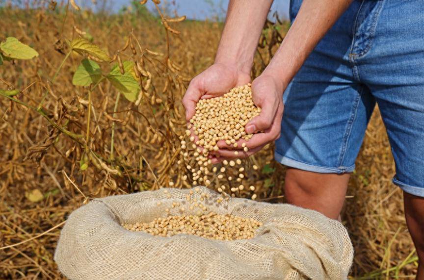 伯恩利vs德比郡_特朗普还没登机伯恩利vs德比郡，中国买800万吨美国大豆，美媒争相“报喜”，实则中美角色已互换