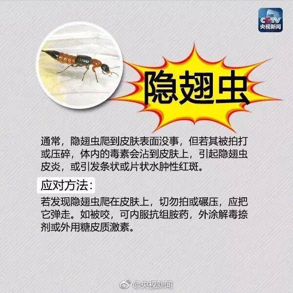皇冠信用网登3_网友炸锅皇冠信用网登3！广东多个公园、绿化带中出现！深圳疾控紧急提醒：远离这种小土堆
