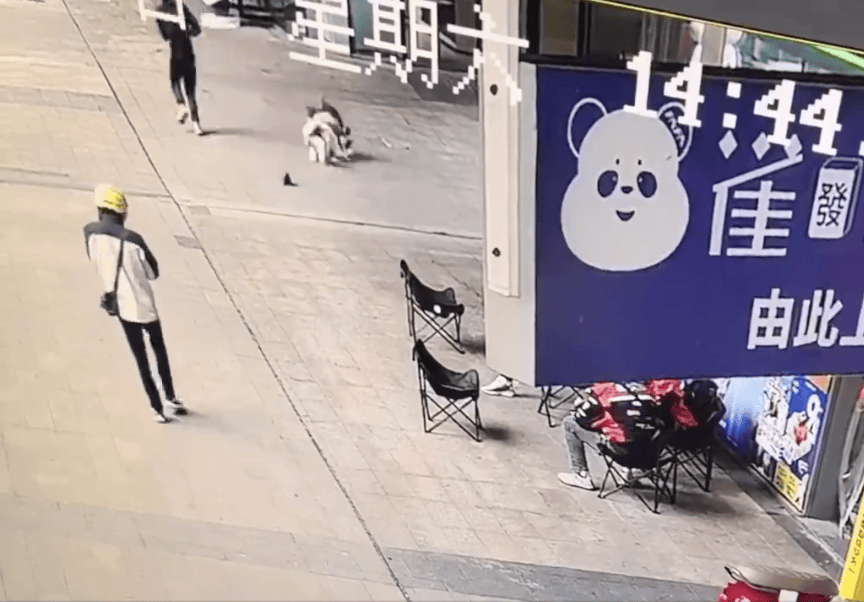 世界盃如何代理_江西南昌警方：违法行为人张某某（男世界盃如何代理，15岁）正接受公安机关调查